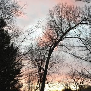 Meet your Posher, Lynn